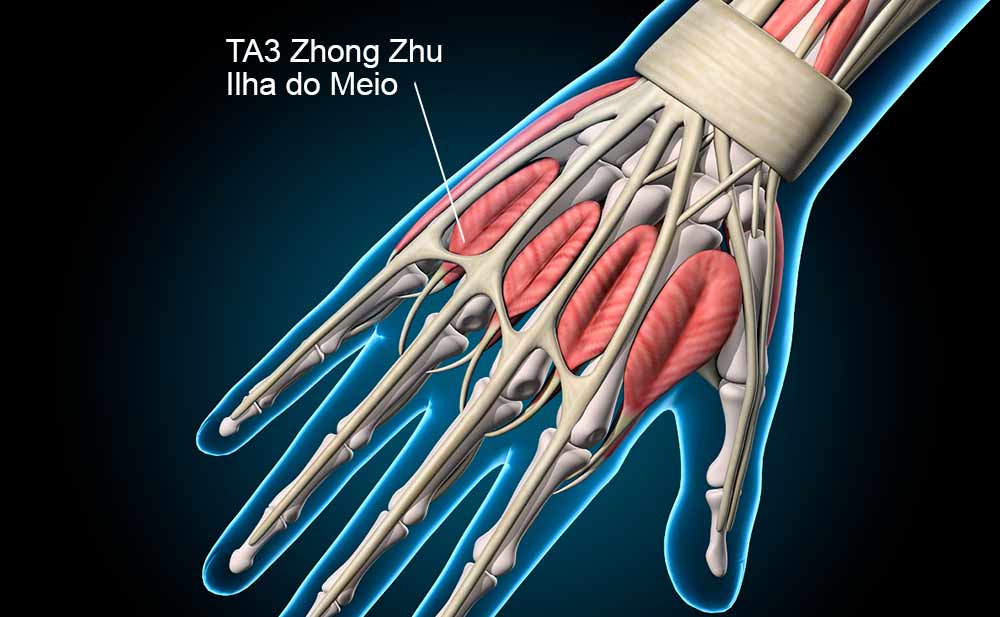 Ponto TA3 Zhongzhu no dorso da mão