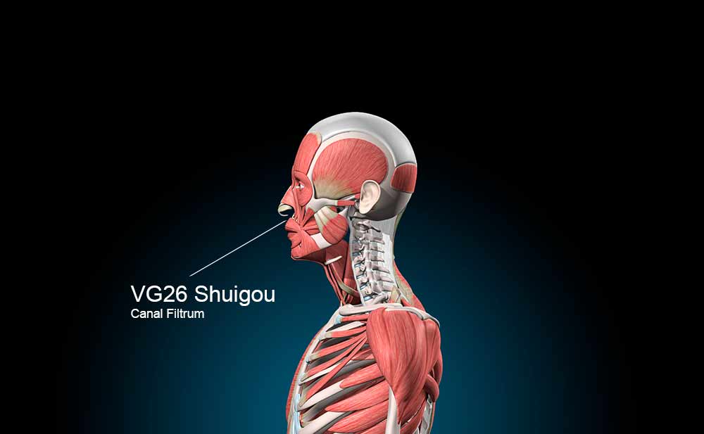 Imagem do ponto VG26 no Vaso Governador.